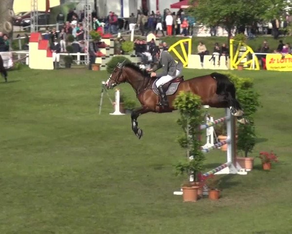 Reitturnier Greppin 2017