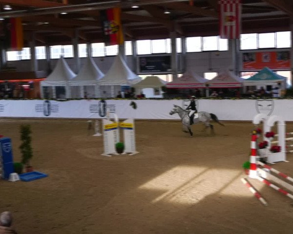 Christmas Jumping Trophy Prussendorf 2021