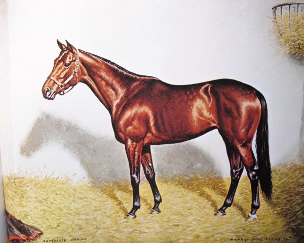 broodmare Numbered Account xx (Thoroughbred, 1969, from Buckpasser xx)
