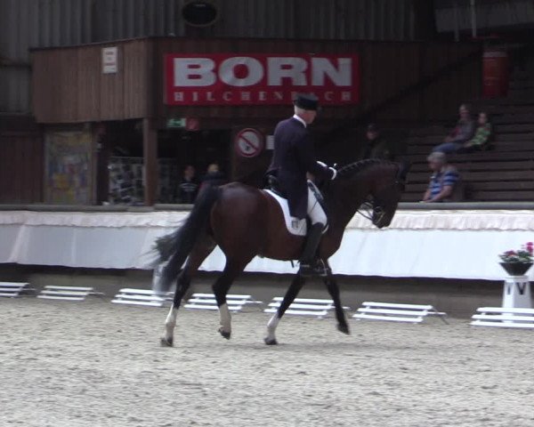 Reitturnier Kreuztal 2017