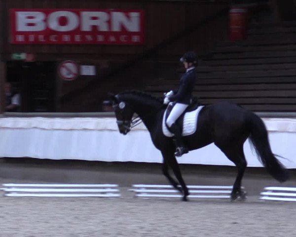 Reitturnier Kreuztal 2017