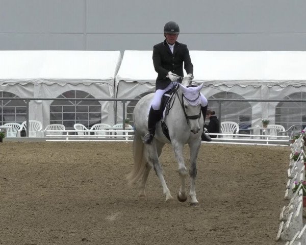 Reitturnier Rottweil 2017