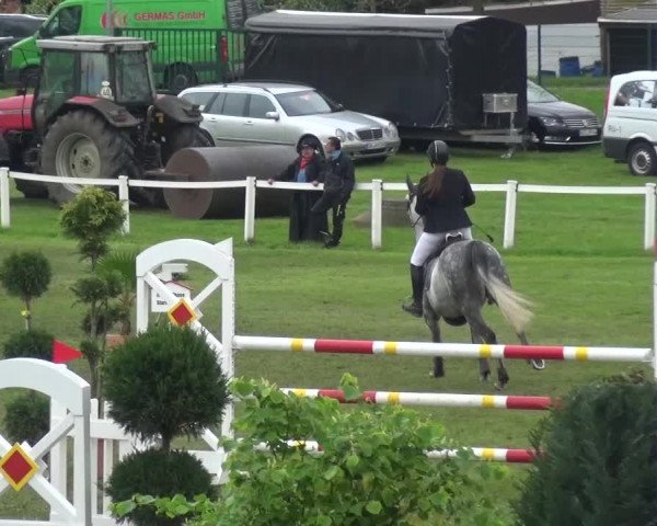 Reitturnier Greppin 2017
