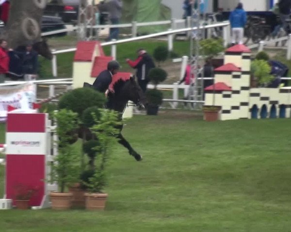 Reitturnier Greppin 2017