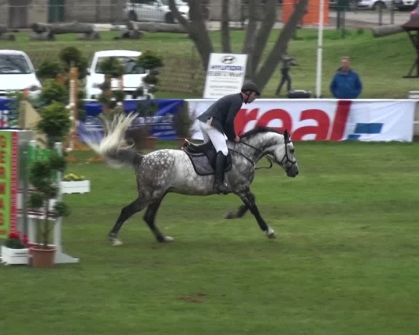 Reitturnier Greppin 2017