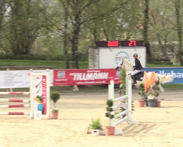 Reitturnier Niederbergheim 2017