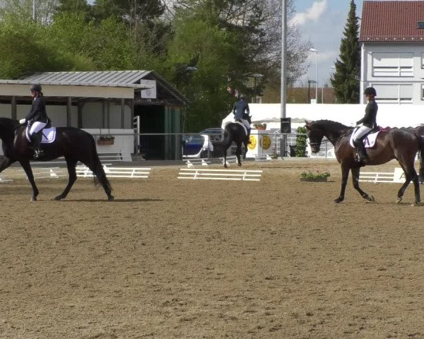 Reitturnier Rottweil 2017
