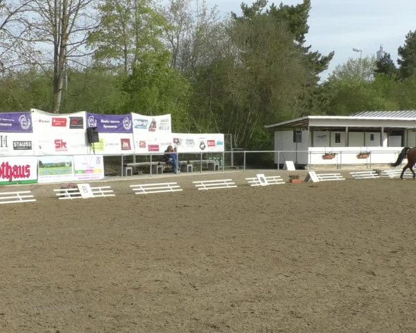 Reitturnier Rottweil 2017
