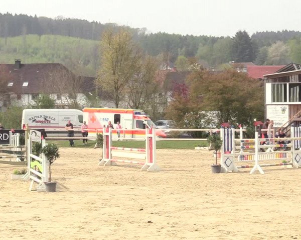 Reitturnier Niederbergheim 2017