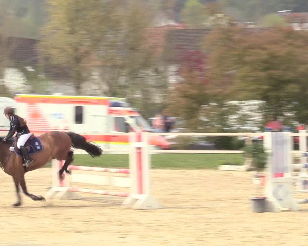 Reitturnier Niederbergheim 2017