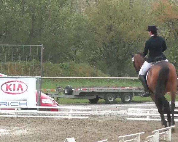 Reitturnier Rottweil 2017