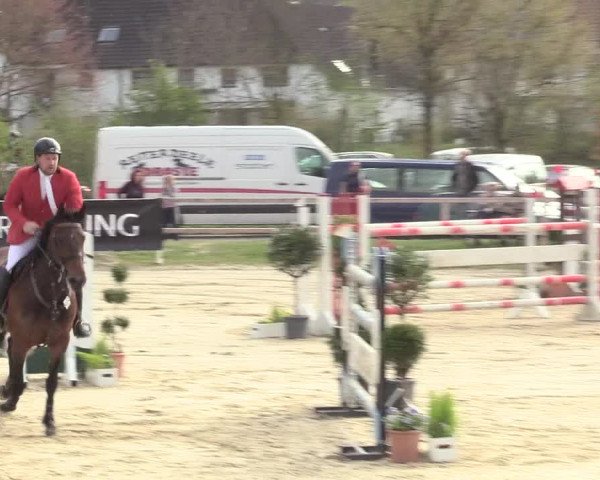 Reitturnier Niederbergheim 2017