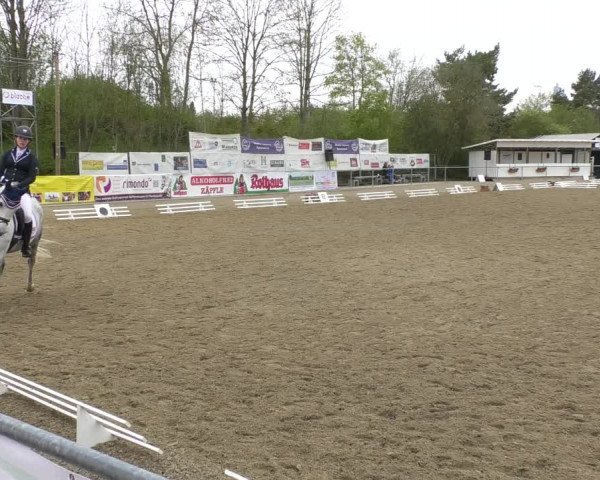 Reitturnier Rottweil 2017