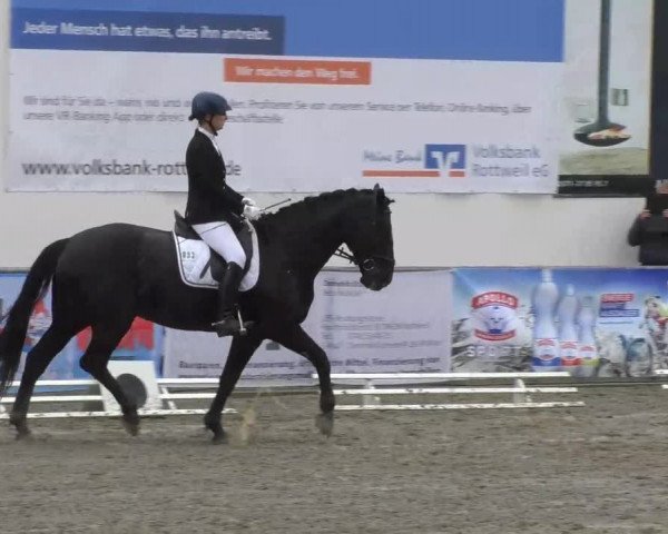 Reitturnier Rottweil 2017