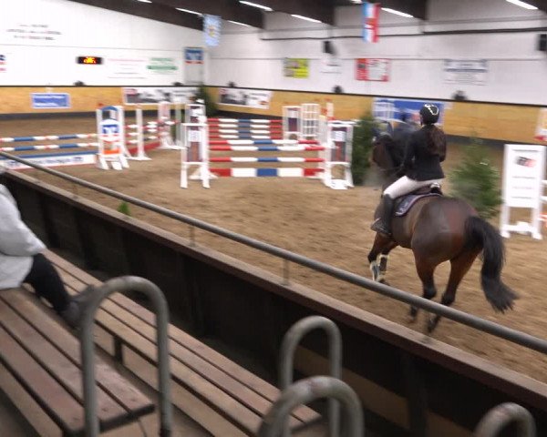 Reitturnier Heide 2021