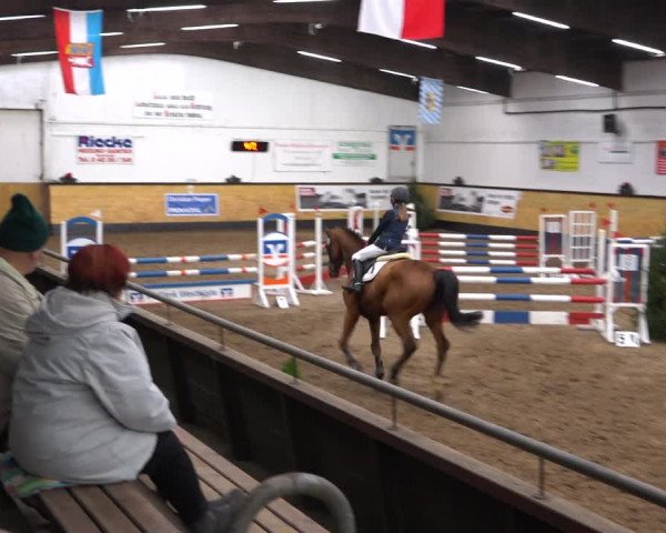 Reitturnier Heide 2021