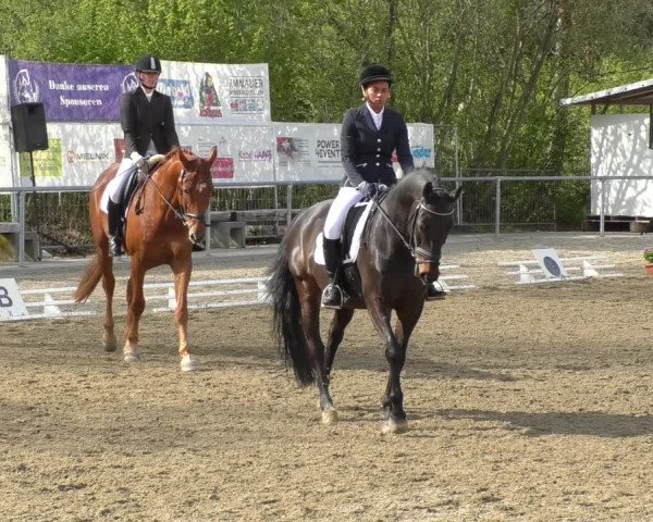 Reitturnier Rottweil 2017