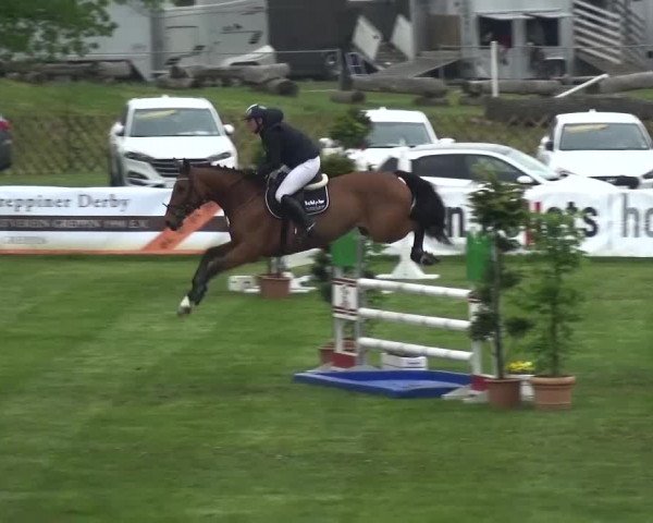 Reitturnier Greppin 2017