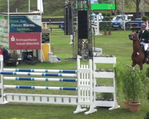 Reitturnier Greppin 2017
