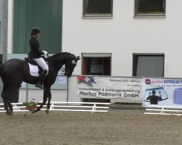Reitturnier Rottweil 2017