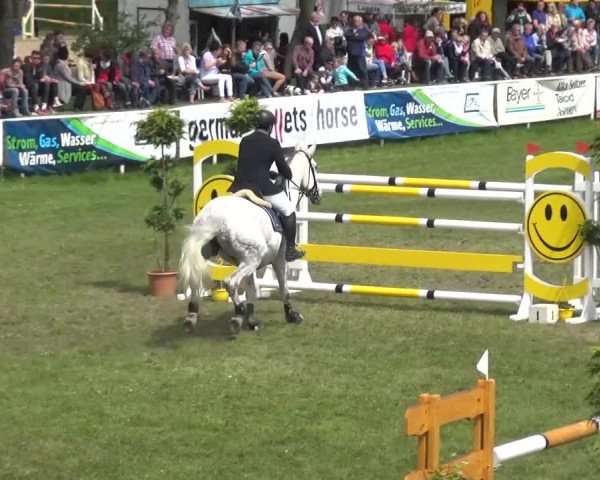 Reitturnier Greppin 2017