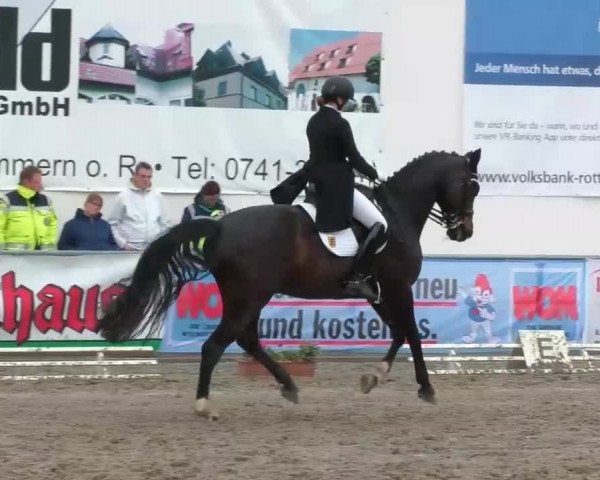 Reitturnier Rottweil 2017
