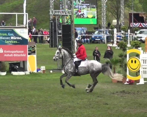 Reitturnier Greppin 2017