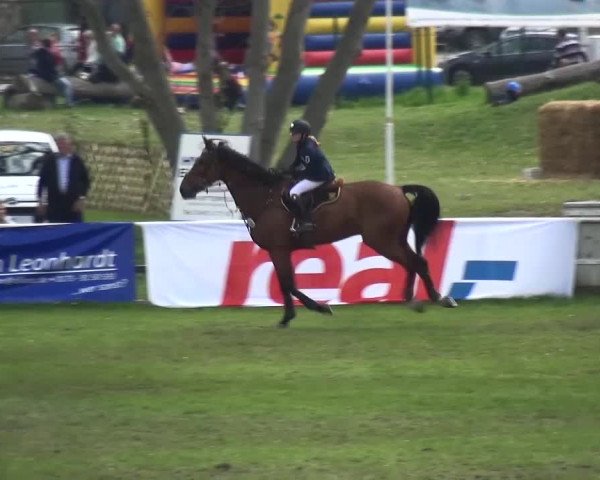Reitturnier Greppin 2017