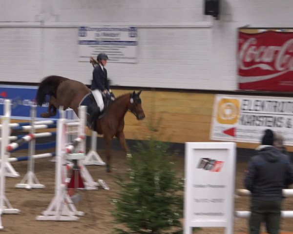 Reitturnier Heide 2021