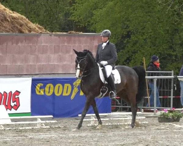 Reitturnier Rottweil 2017