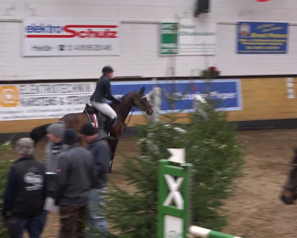 Reitturnier Heide 2021