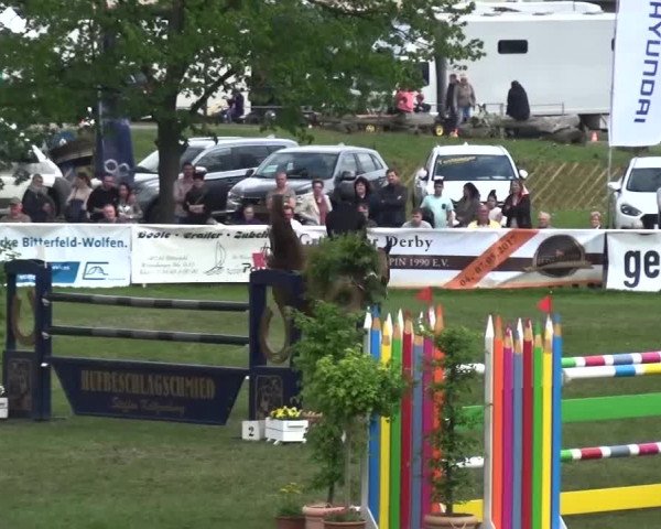 Reitturnier Greppin 2017