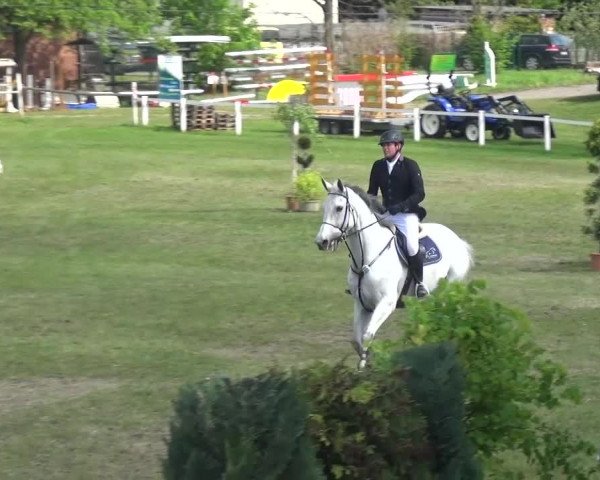 Reitturnier Greppin 2017