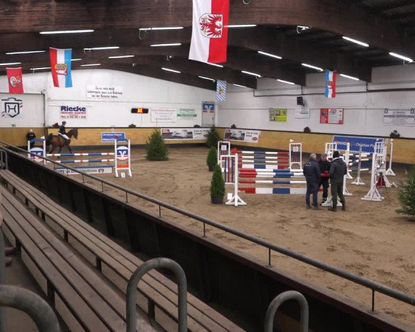 Reitturnier Heide 2021