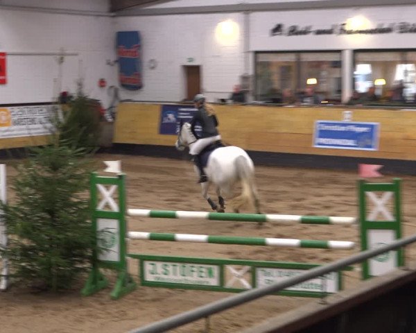 Reitturnier Heide 2021