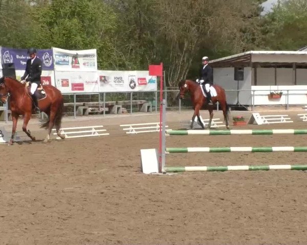 Reitturnier Rottweil 2017