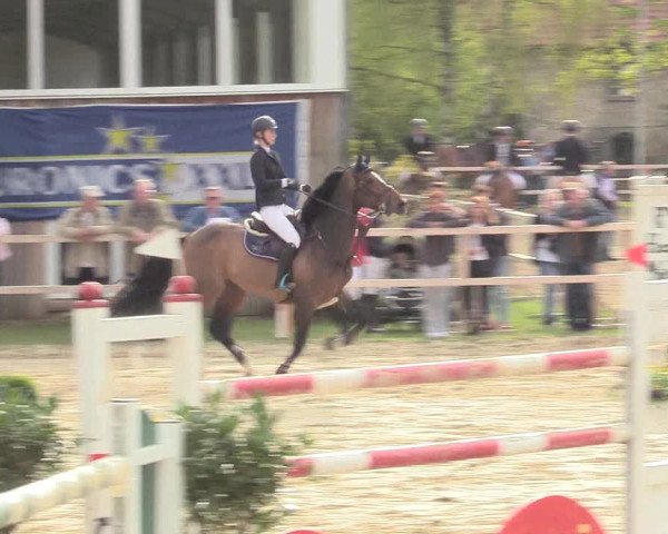Reitturnier Niederbergheim 2017