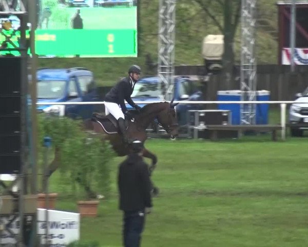 Reitturnier Greppin 2017