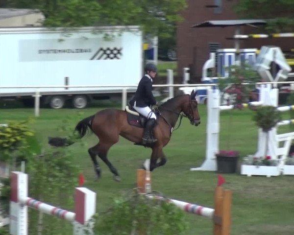 Reitturnier Greppin 2017