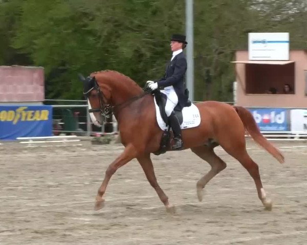 Reitturnier Rottweil 2017