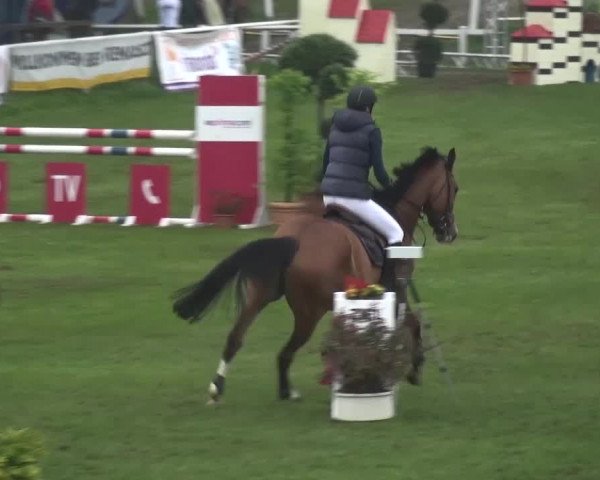 Reitturnier Greppin 2017