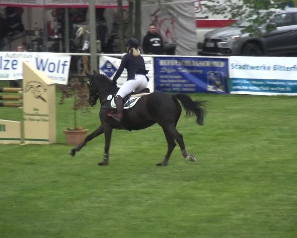 Reitturnier Greppin 2017