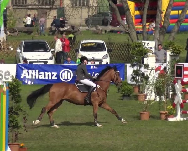 Reitturnier Greppin 2017