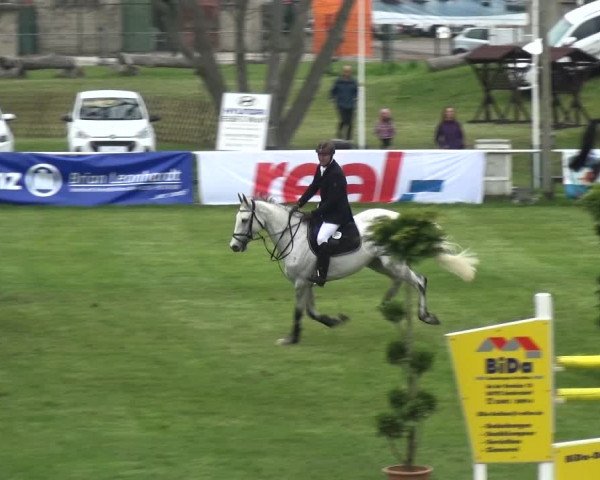 Reitturnier Greppin 2017
