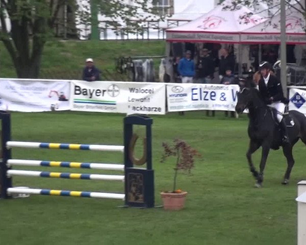 Reitturnier Greppin 2017
