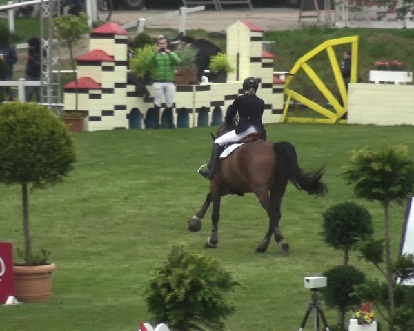 Reitturnier Greppin 2017