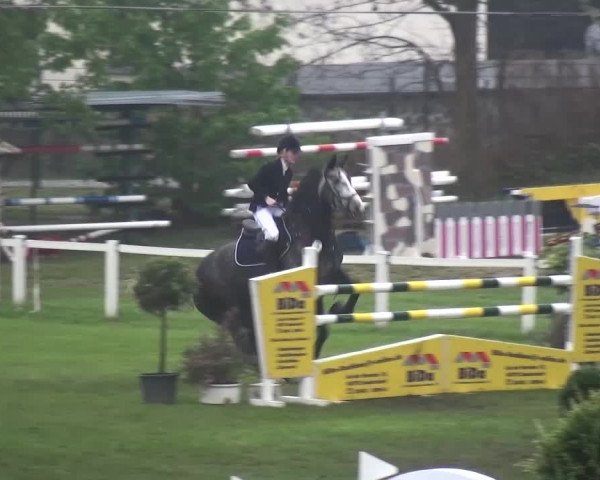 Reitturnier Greppin 2017