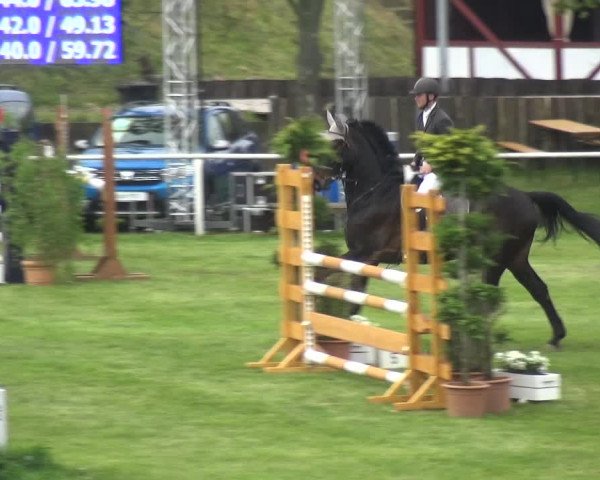 Reitturnier Greppin 2017