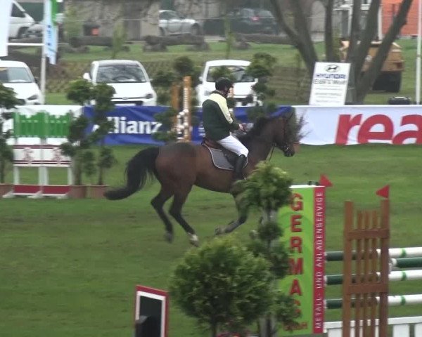 Reitturnier Greppin 2017