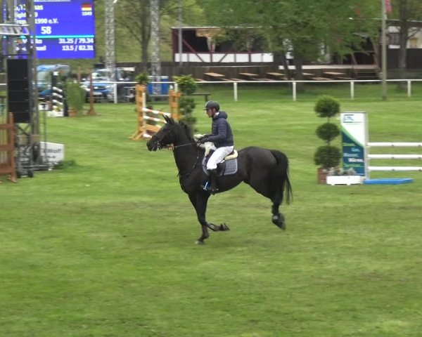 Reitturnier Greppin 2017